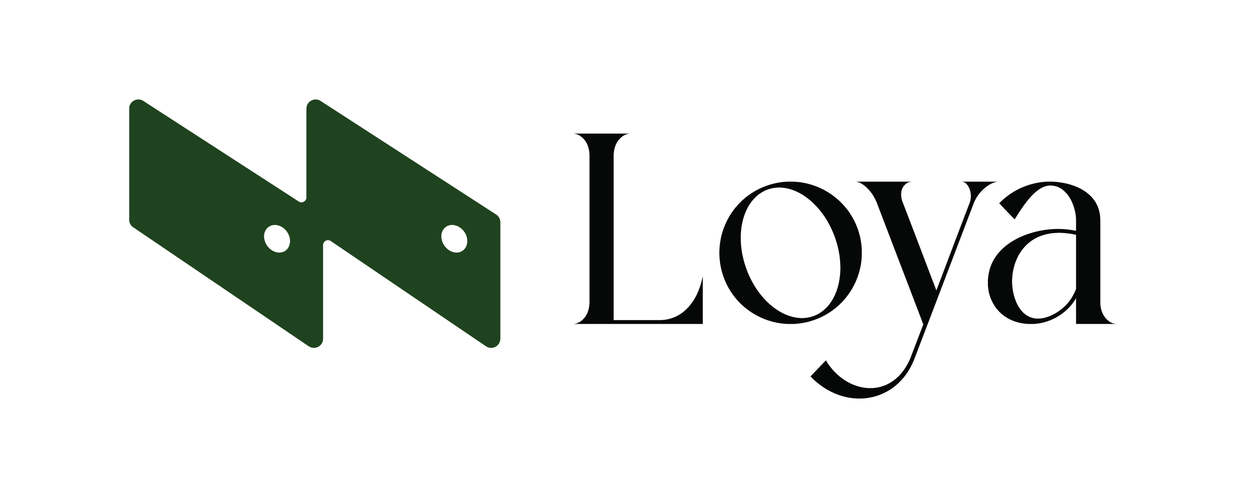 the logo of loya